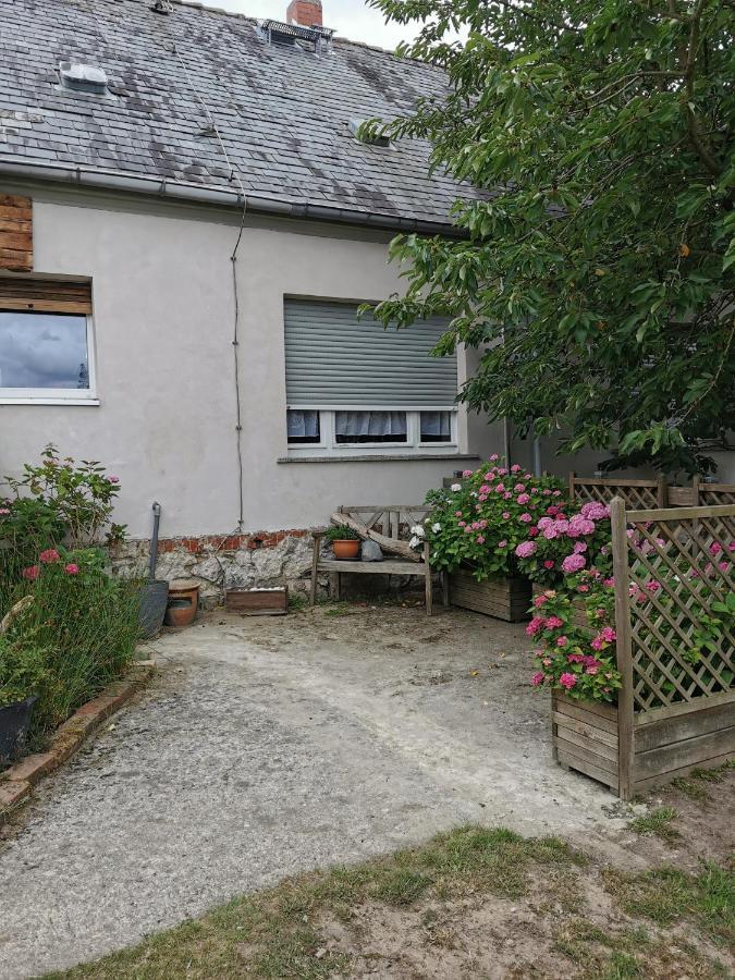 Apartmán Scheunenhof Nebelin Exteriér fotografie